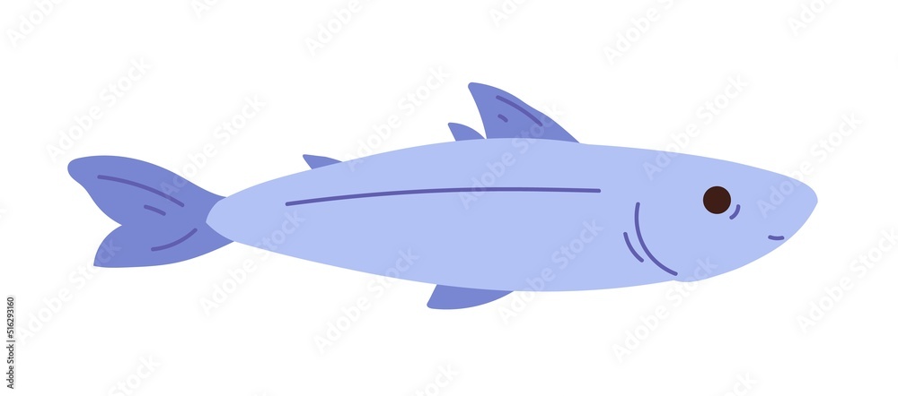 Sea bass fish hand drawn illustration. Flat vector illustration isolated on white background Sea bass fish hand drawn illustration. Flat vector illustration isolated on white background