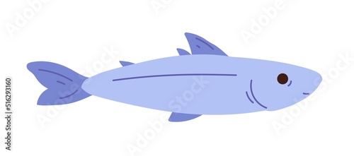 Sea bass fish hand drawn illustration. Flat vector illustration isolated on white background