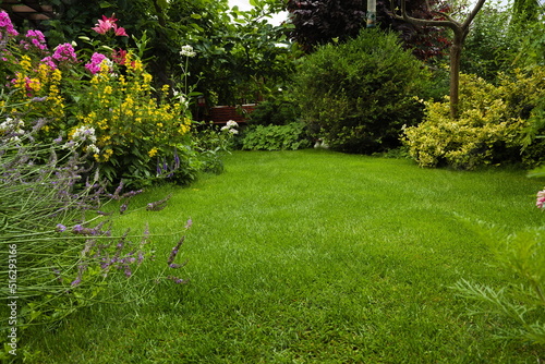 lawn and flowers in the garden in the summer