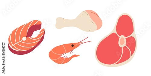 Vector illustration of meat. Protein foods: chicken drumstick, steak, shrimp and salmon