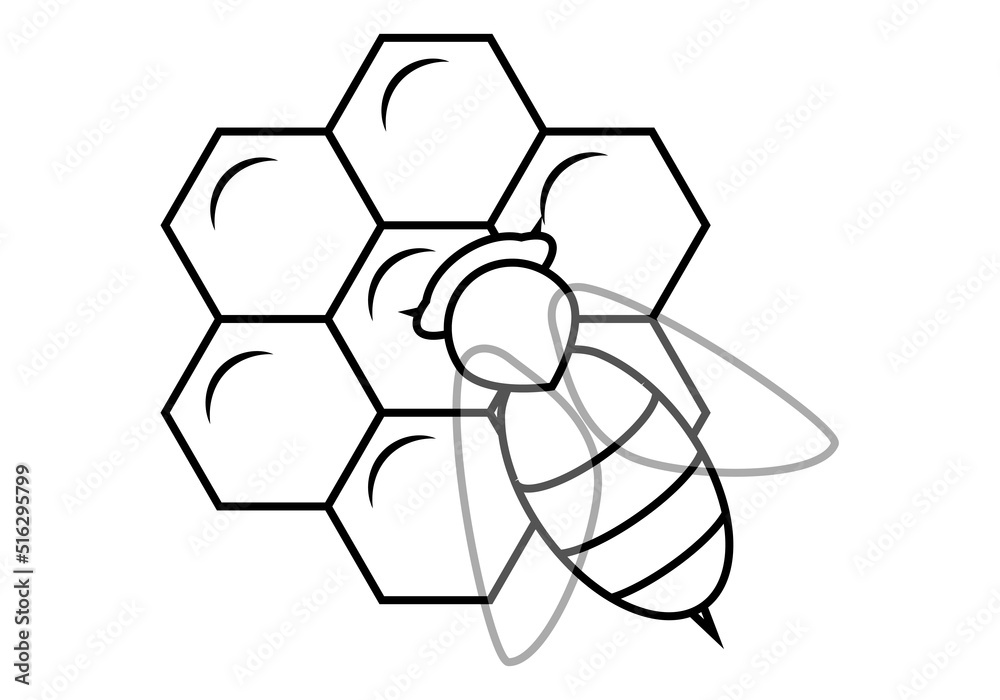Obraz premium Trazado de abeja sobre panal en negro sobre blanco