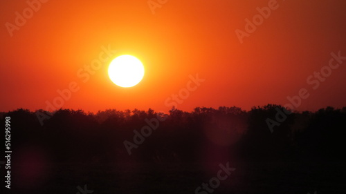 A beautiful sunset against the background of the evening forest. © Юлія Гончарова