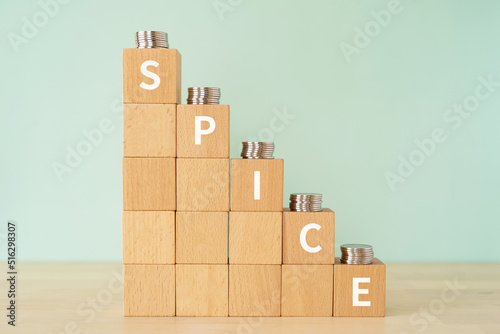 スパイスのイメージ｜「SPICE」と書かれたブロックとコイン 