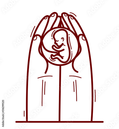 Two hands with fetus embryo protecting and showing care vector flat style illustration isolated on white, cherish and defense for unborn children and pregnancy concept.
