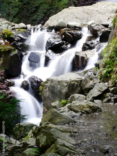 A small waterfall in a Japanese mountain stream