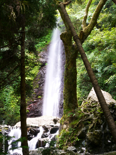 A waterfall seen between the trees