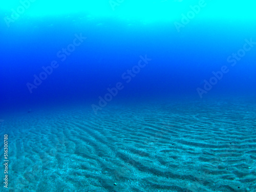 One side of the seabed and the blue sea © 晃隆 石川