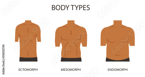 Male body types. Anatomical illustratio. Ectomorhp, endomorph, mesomorph.