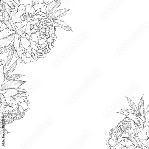 vintage peonies, a frame, a hand-drawn sketch, a pencil black and white drawing, a bouquet of flowers, a ready-made floral wedding composition of opened flowers