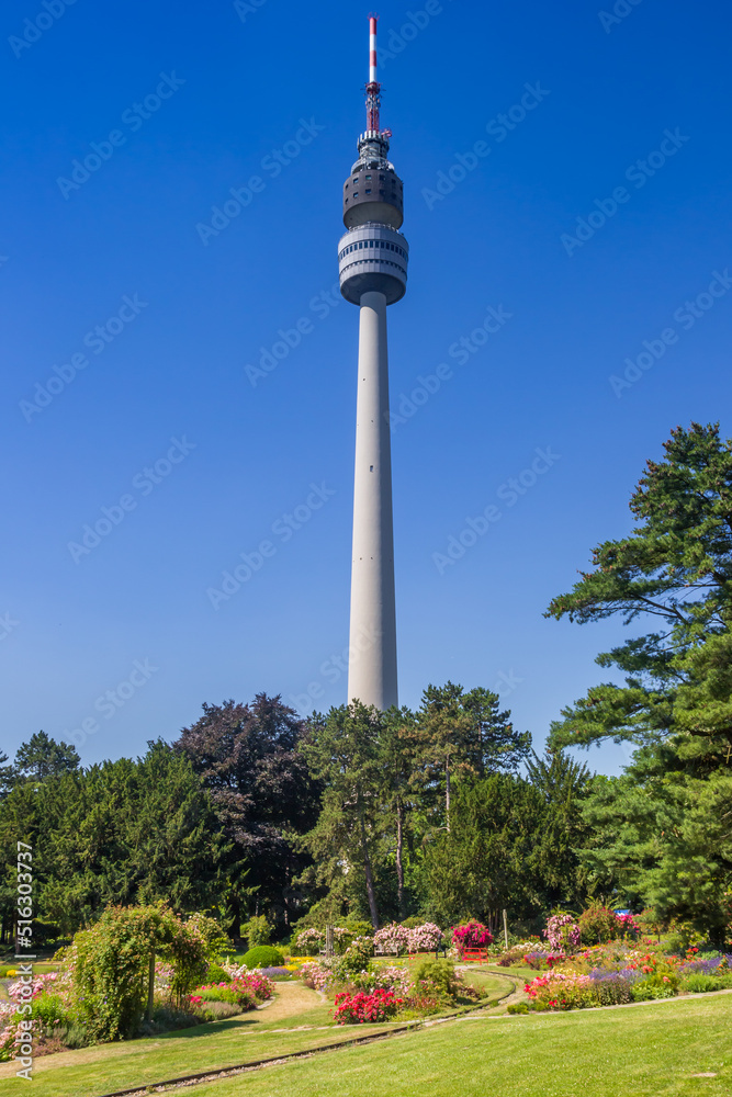 Naklejka premium Rose garden in front of the television tower in the Westfalen park of Dortmund, Germany