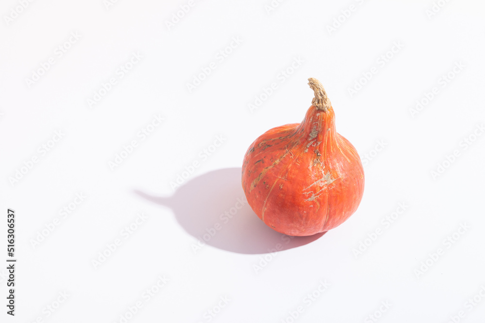 Orange mini pumpkin with hard shadow on white background