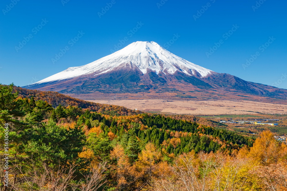 二十曲峠から眺める富士山と紅葉　山梨県南都留郡忍野村にて