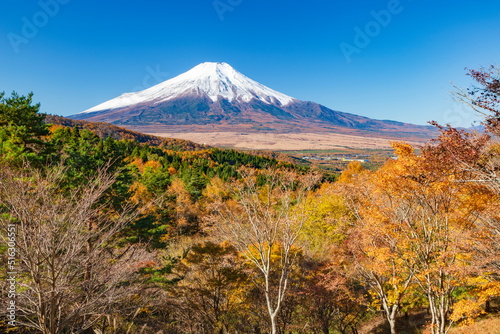 二十曲峠から眺める富士山と紅葉　山梨県南都留郡忍野村にて