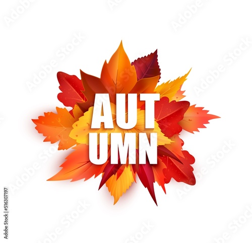 Realistic autumnal leaves, isolated vector round bunch of fallen maple, oak or birch tree foliage of red and yellow colors. Autumnal element for back to school, seasonal sale or thanksgiving holidays
