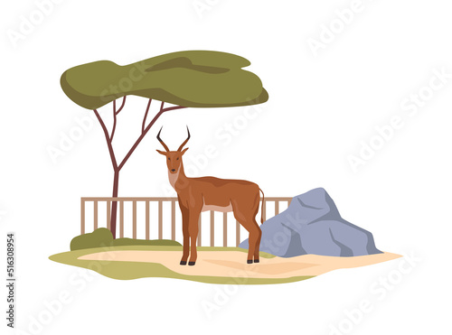 Deer in zoological garden or nature reserve of Africa for fawns. Stags conservation and African wildlife habitat. Animal in menagerie. Flat cartoon, vector illustration