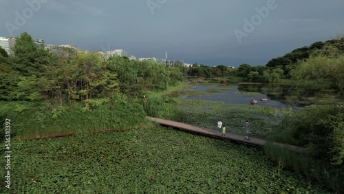 Urban Lake Park Seoul Drone Daytime photo