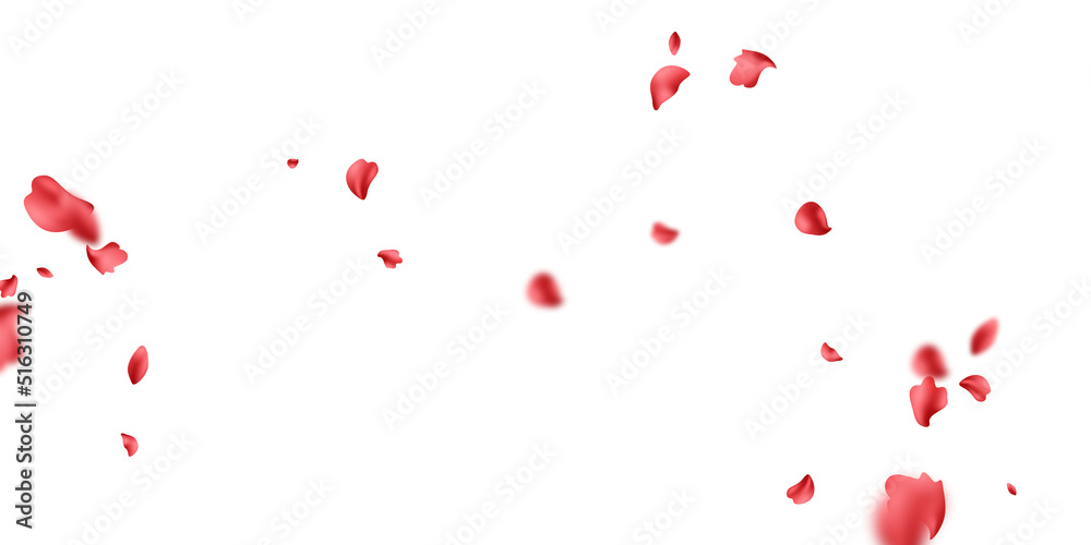 falling rose petals background vector design 3D illustration