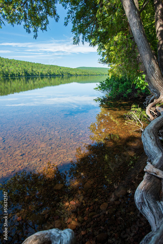 Mature trees on the shoreline of the crystal clear waters of Lake Fanny Hooe photo