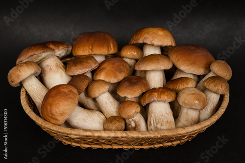 Harvested porcini mushrooms in wicker basket ready for cooking