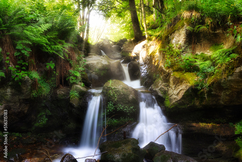 Fototapeta Naklejka Na Ścianę i Meble -  The Todtnau Waterfall in the Black Forest in Germany.