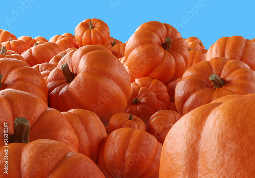 Juicy pumpkin close-up. Hal...