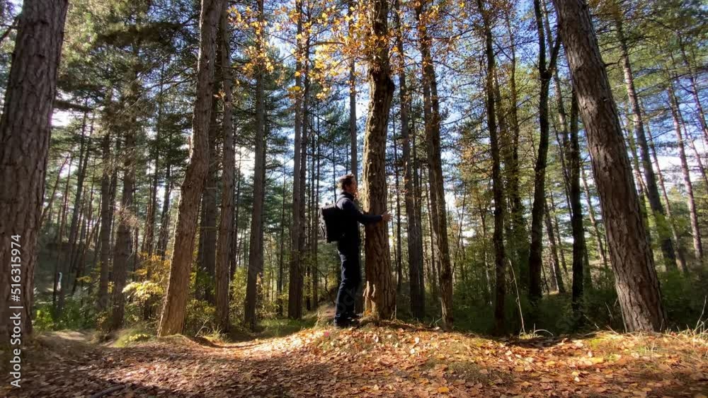 Man enjoying his connection with nature, reaches a clear spot and hugs a tree Man enjoying his connection with nature, reaches a clear spot and hugs a tree