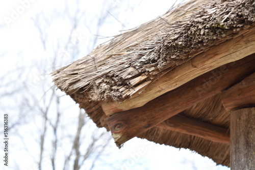 images of the roof of a thatched quincho photo