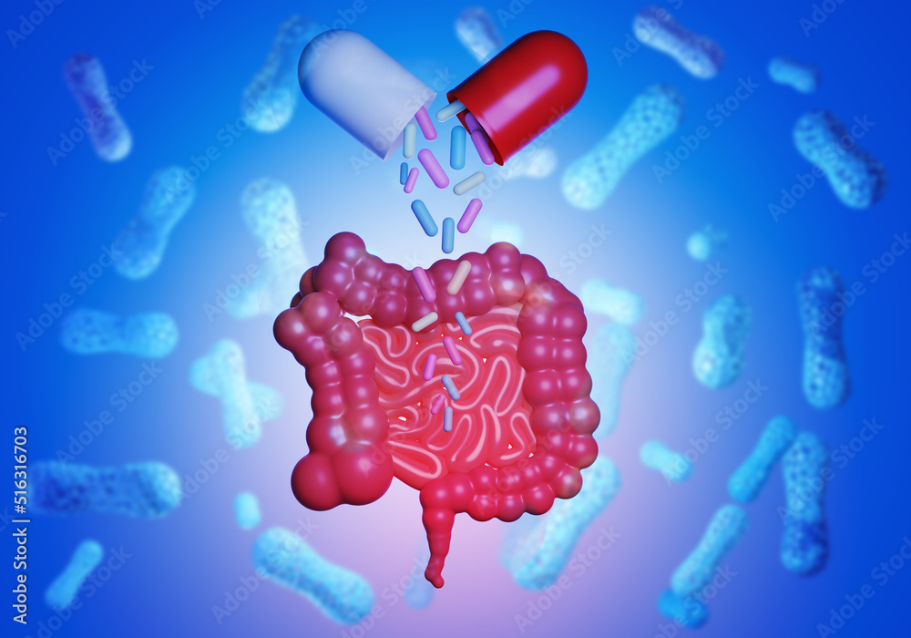 Taking probiotics. Tablet and stomach intestinal tract. Medicine with