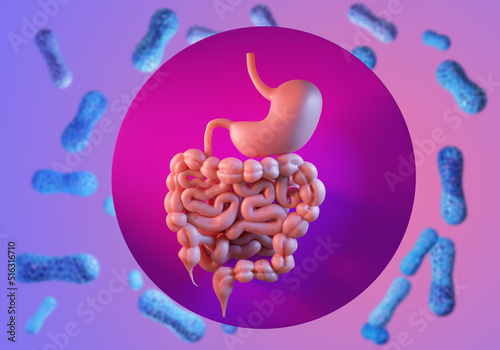 Microbiome stomach. Intesti...