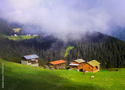 SAL PLATEAU  view. This plateau located in Camlihemsin district of Rize province. Kackar Mountains region. Rize, Turkey. photo