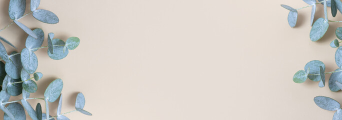 banner with eucaliptus leaves on colored background. Copy space. Blue-Green leaves on branch for abstract natutal backdrop