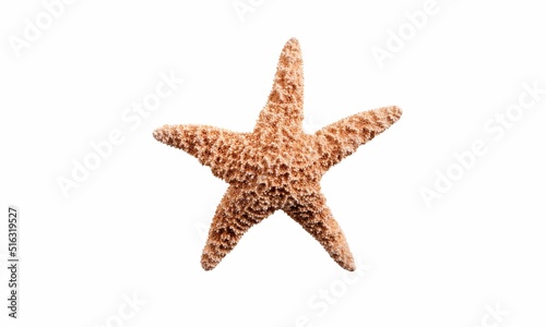 Starfish Background Very Cool