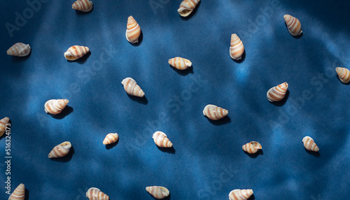 Seashells with underwater shadows on the blue background top view 