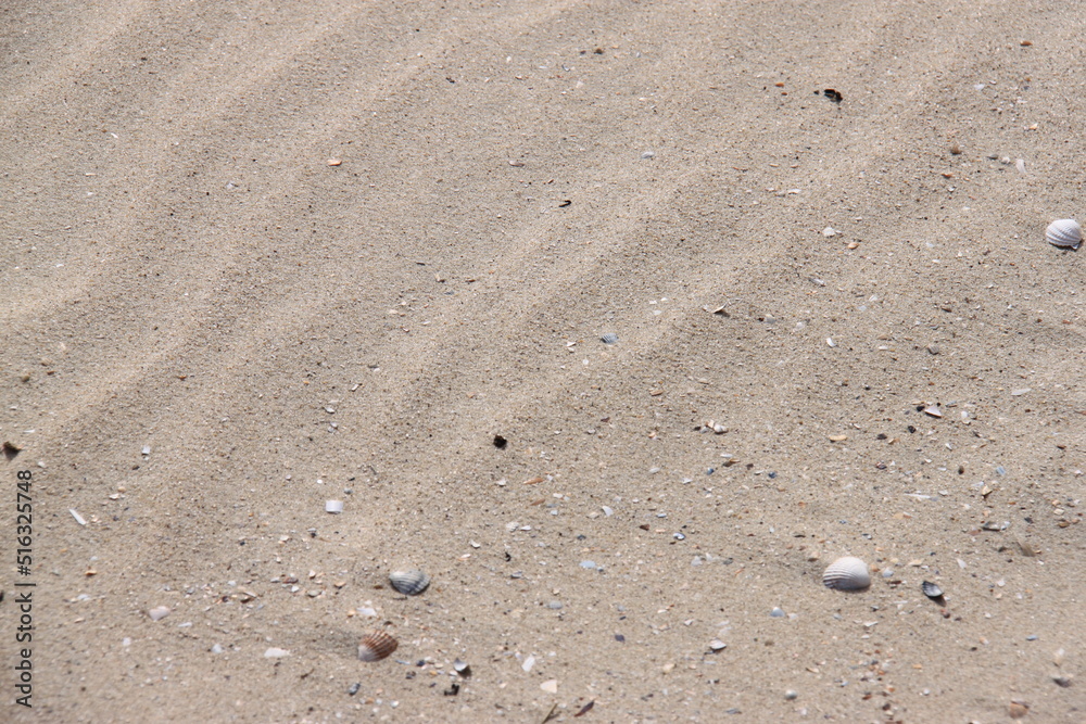 wind blown sand waves on beach wind blown sand waves on beach