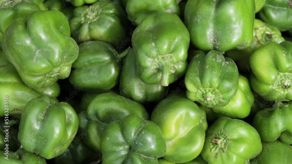 fresh organic green capsicum from farm close up from different angle fresh organic green capsicum from farm close up from different angle