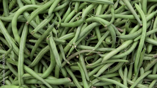 fresh organic green beans from farm close up from different angle