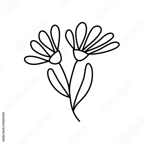 Vector simple botanical illustration of two flowers. Line artwork minimal design elements. elegant and delicate plant doodles for branding  graphic design. spring floral clip art