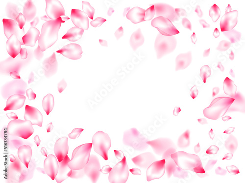 Fototapeta Naklejka Na Ścianę i Meble -  Pink cherry blossom petals isolated