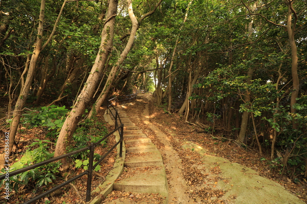 登山道 登山道