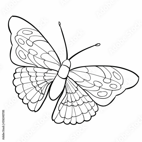 sketch  butterfly in black color with different patterns  coloring book  isolated object on white background  vector 