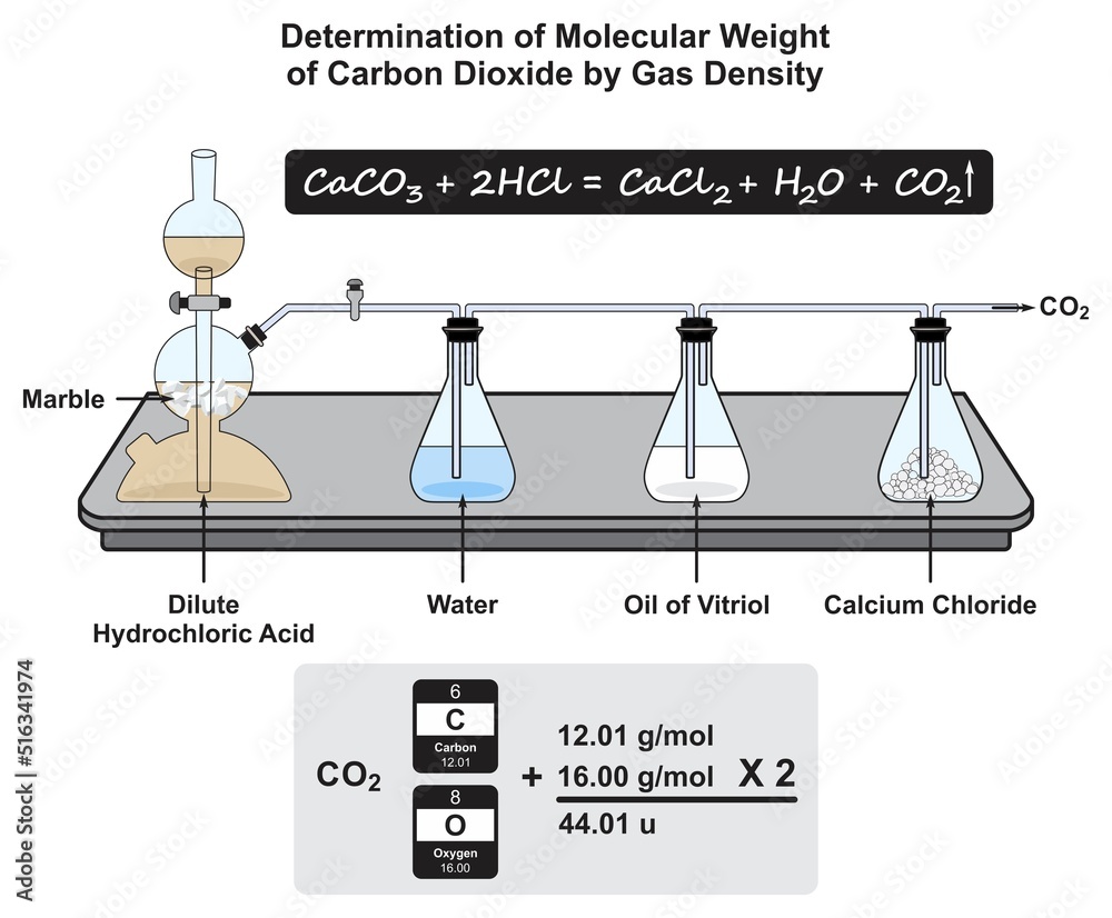 Determination of molecular weight of carbon dioxide by gas density infographic diagram lab