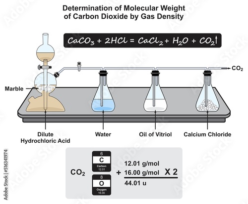 Determination of molecular weight of carbon dioxide by gas density infographic diagram lab experiment chemistry physics science education chemical reaction vector drawing illustration concept
