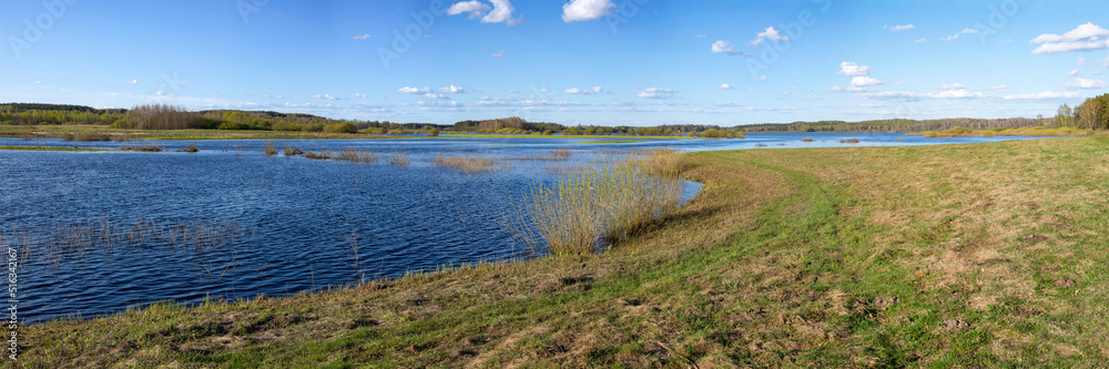 Panorama of the Sorot River on a sunny spring day. Pskov region, Russia