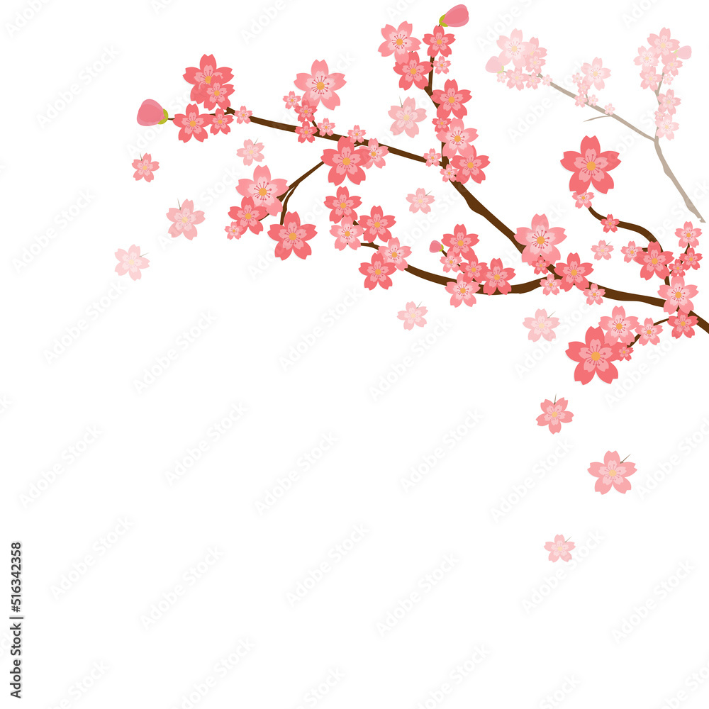 Naklejka premium cherry blossom tree branch background