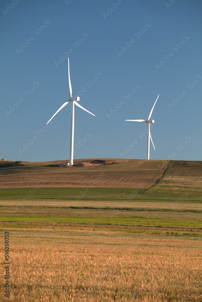Wind turbines near Caledon, Western Cape, South Africa. Wind turbines near Caledon, Western Cape, South Africa.
