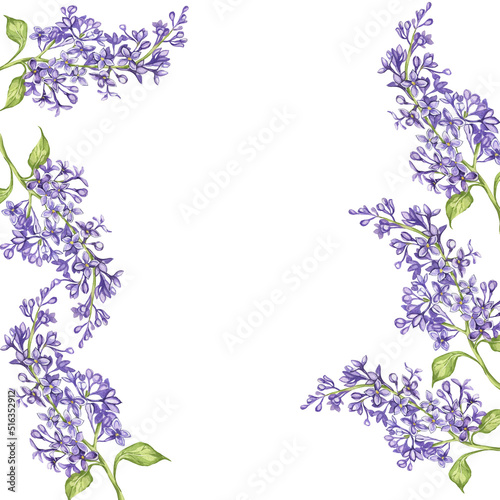 Fototapeta Naklejka Na Ścianę i Meble -  Lilac. watercolor botanical illustration. lilac flowers. frame