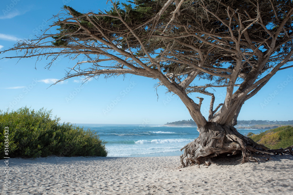 carmel, carmel by the sea, carmel beach, monterrey, california, 