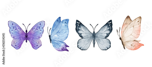 Colorful butterflies watercolor isolated on white background. Purple  blue  gray or silver and cream pink butterfly. Spring animal vector illustration