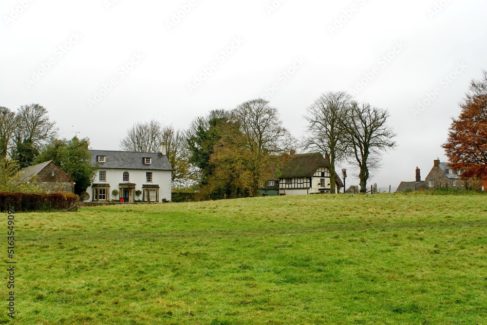 Fototapeta premium Buildings around the village green in Avebury, England