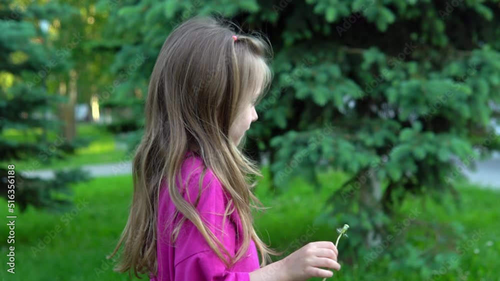 The girl blows on a white fluffy dandelion. The child blows on a dandelion. spring flowering, child in the park. The girl blows on a white fluffy dandelion. The child blows on a dandelion. spring flowering, child in the park.